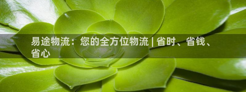 28圈.ccmo