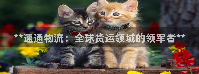 28圈游戏最新版