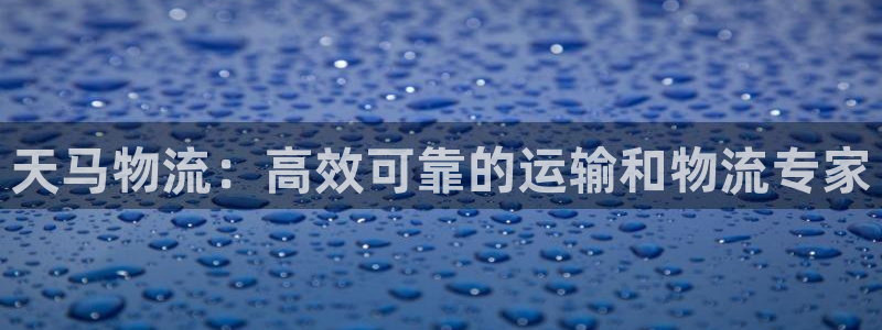 28圈充值不到账