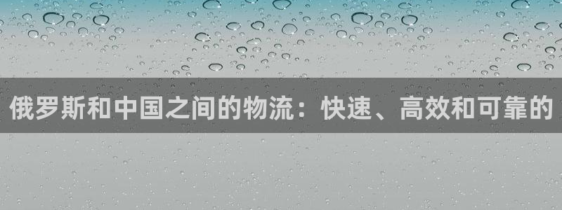 28圈龙虎