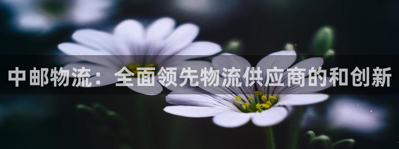 28圈圈
