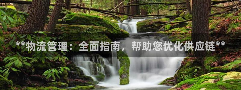 28圈加拿大app预测