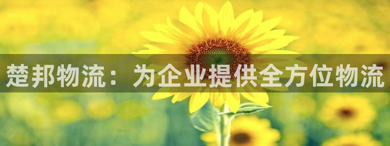 28圈加拿大在线预测