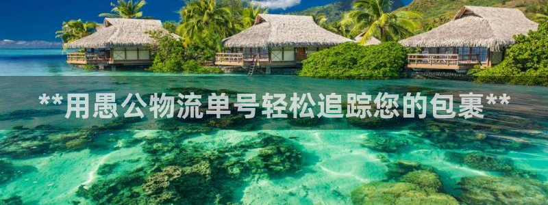 28圈官网版2024