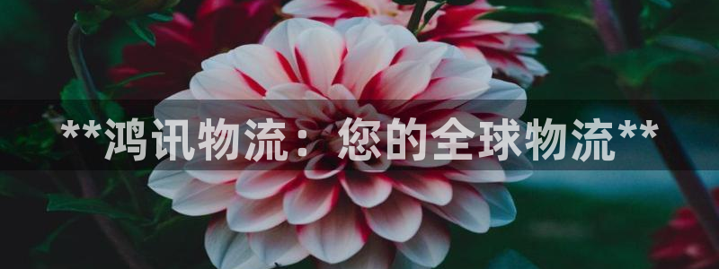 28圈充值不到账什么原因