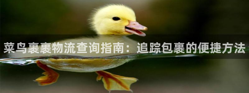 28圈app怎么注销