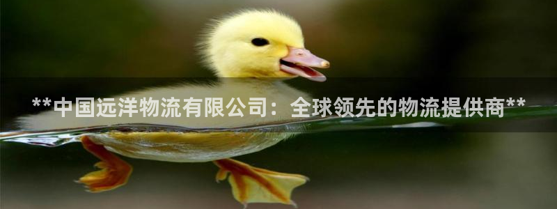 28圈免费