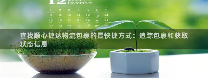 28圈返水怎么算的