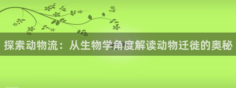 28圈麻将胡了