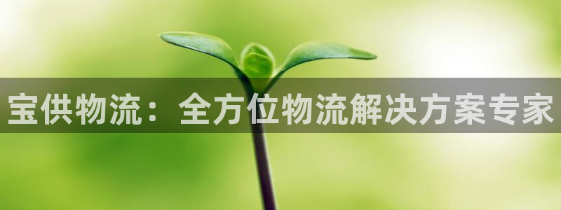28圈加拿大是什么
