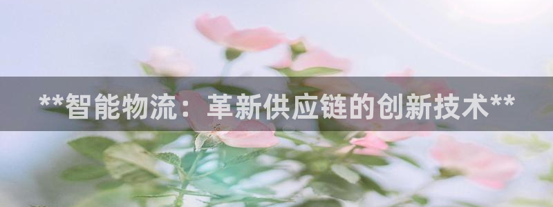 28圈网赌有什么风险