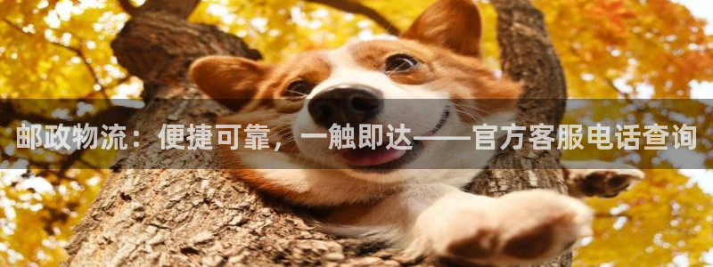 28圈黑钱