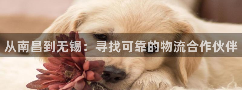 28圈官网开奖结果预测查询