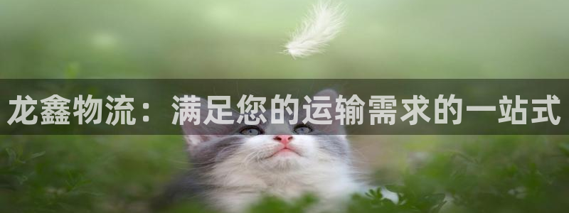 28圈游戏链接
