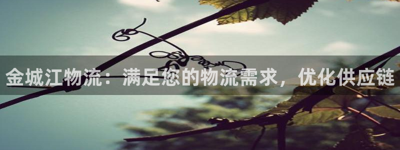 28圈h5链接