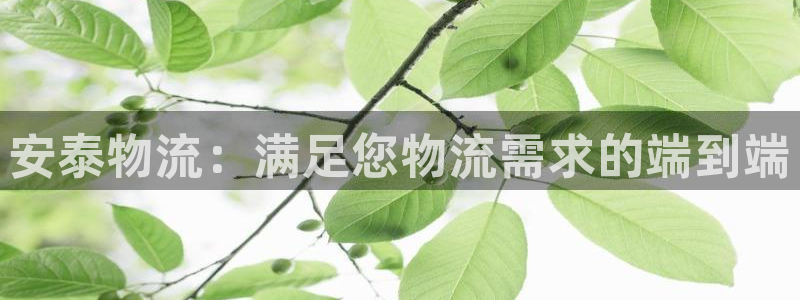 28圈登陆网