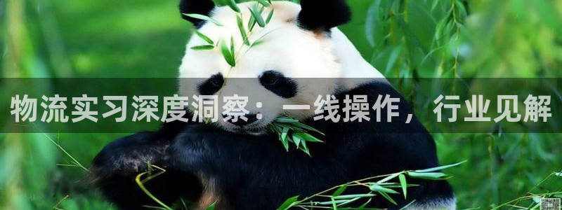 28圈为什么没有赢过一次