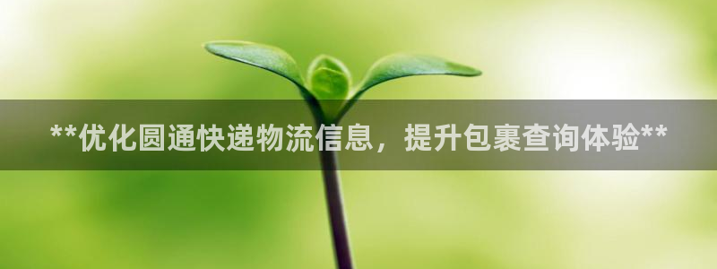 28圈黑钱