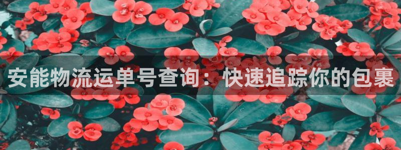 28圈娱乐官网网页