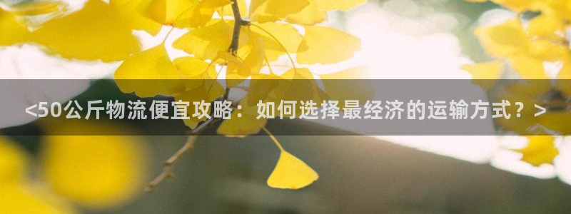 28圈官网预测