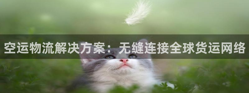 南宫28圈官网