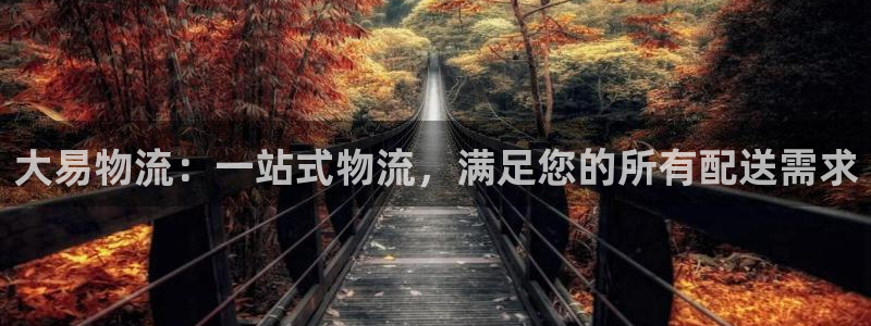 28圈里的财神