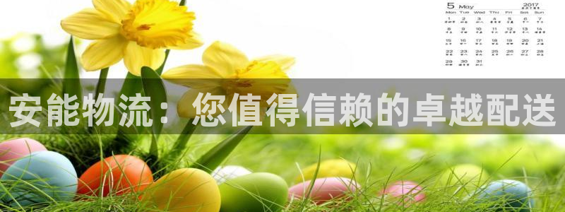 28圈官方官网