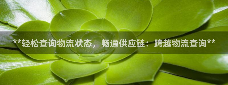 28圈下载链接是多少