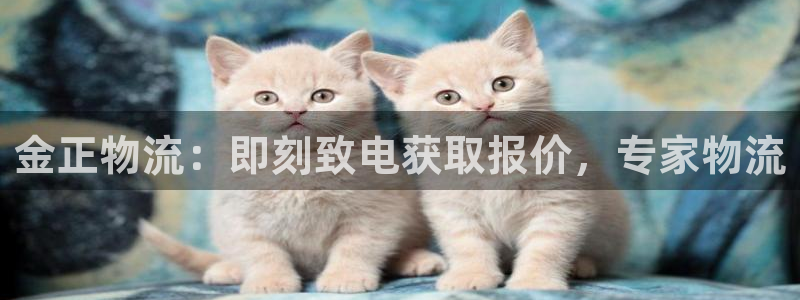 28圈.ccmpc是诈骗吗?