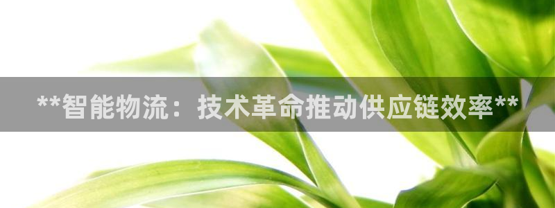 28圈如何看计划