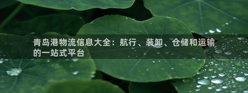 28圈加拿大开奖