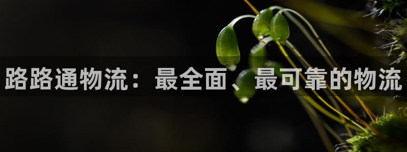28圈麻将胡了爆分视频