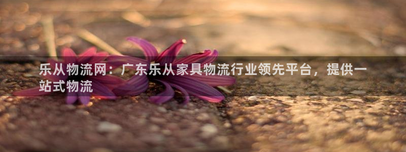 28圈注册登录链接：乐从物流网：广东