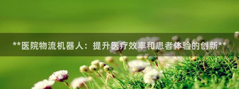 28圈app官网少林足球