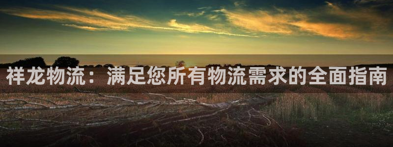 28圈游戏：祥龙物流：满足您所有物流