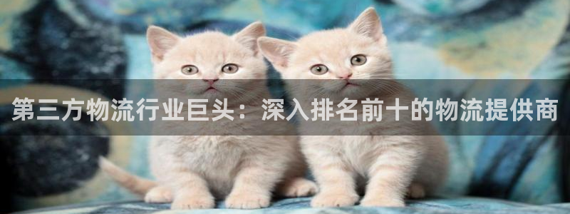 28圈电子游戏