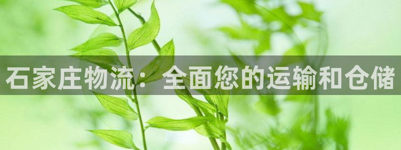 28圈注册流程：石家庄物流：全面您的