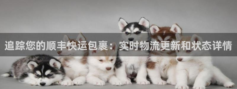 28圈登录用户名登录不上：追踪您的顺