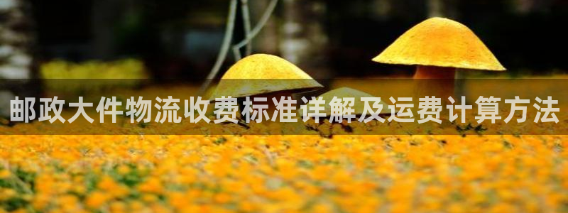 28圈技巧：邮政大件物流收费标准详解