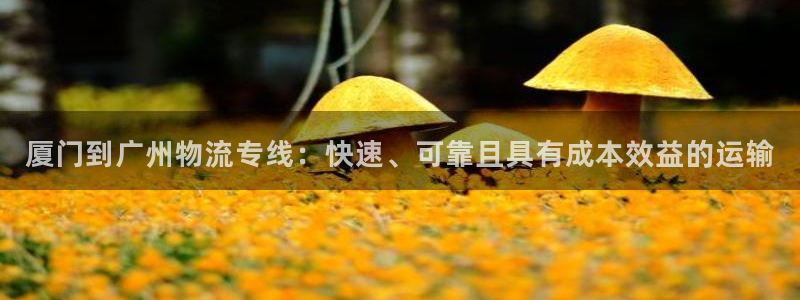 自行车28圈是什么意思