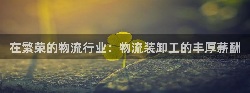 28圈充值不到账怎么办