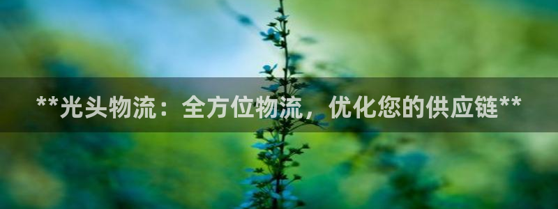 28圈机器人是什么软件：**光头物流