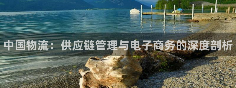28圈黑不黑：中国物流：供应链管理与