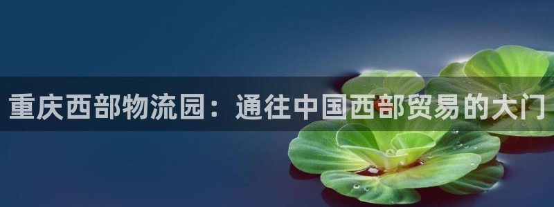 28圈加拿大是什么：重庆西部物流园：