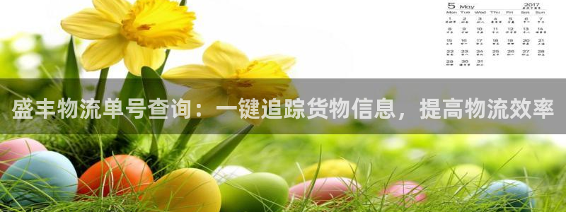 28圈.ccm南宫：盛丰物流单号查询
