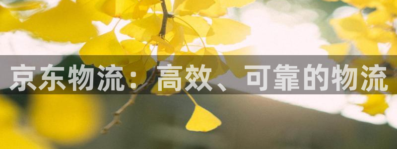 28圈开奖预测：京东物流：高效、可靠