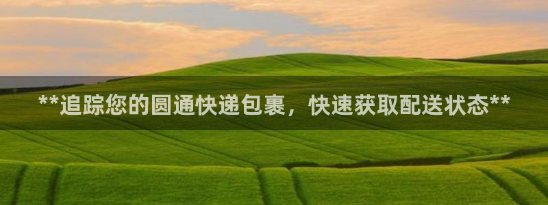 28圈充值方式：**追踪您的圆通快递
