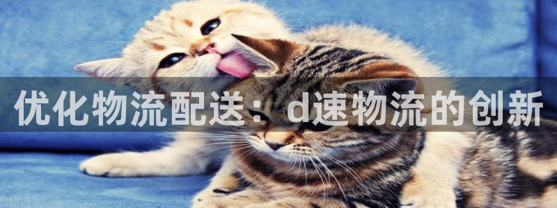 28圈加拿大2.8预测在线预测：优化