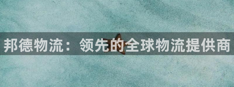 28圈登录不上咋回事：邦德物流：领先
