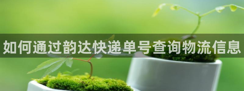 28圈反水什么时候到：如何通过韵达快